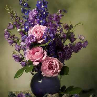 无限循环呼叫电话软件